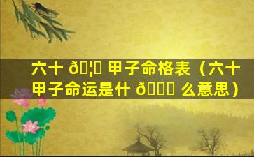 六十 🦅 甲子命格表（六十甲子命运是什 🐘 么意思）